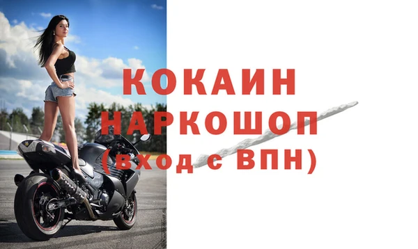 сатива Елабуга