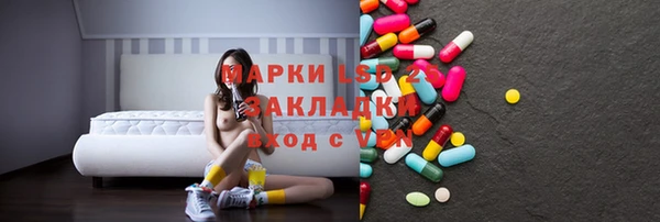 сатива Елабуга
