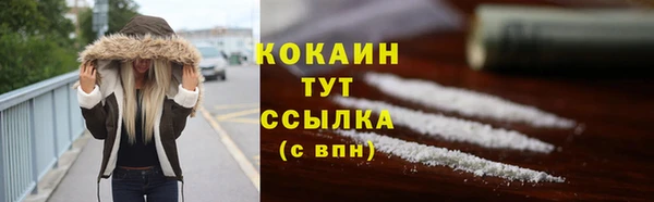 сатива Елабуга