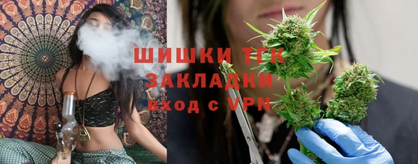 сатива Елабуга