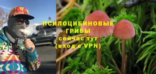 MESCALINE Ельня