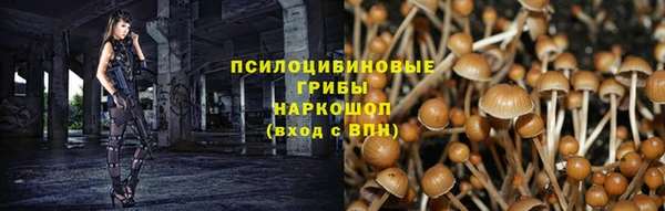 сатива Елабуга