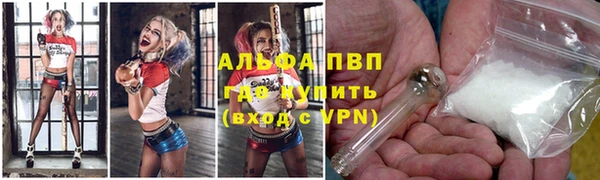 сатива Елабуга