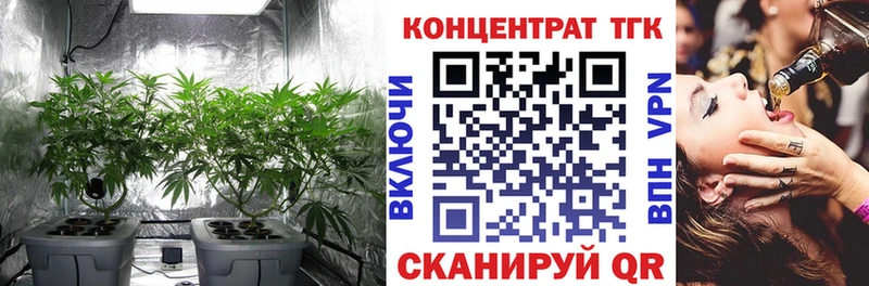 Дистиллят ТГК Wax  сколько стоит  Камызяк 